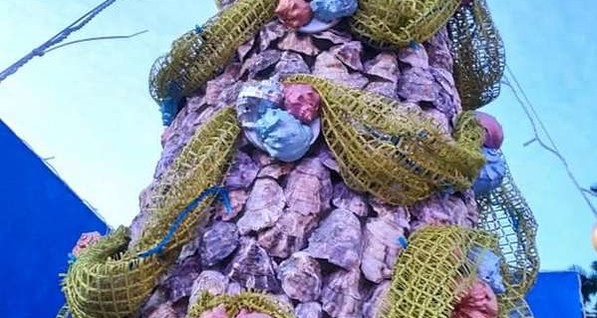 Жители Одесской области представили новогоднюю елку из ракушек: установлен рекорд