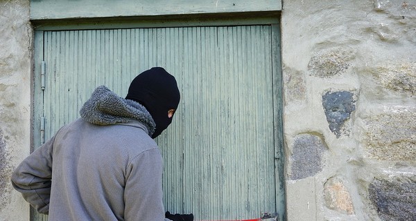 В пригороде Киева ограбили дом директора госпредприятия