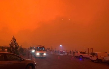 На Новый год австралийцы прячутся от лесных пожаров на пляжах