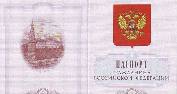 МВД России: в 2019 году 196 тысяч жителей Донбасса получили российское гражданство