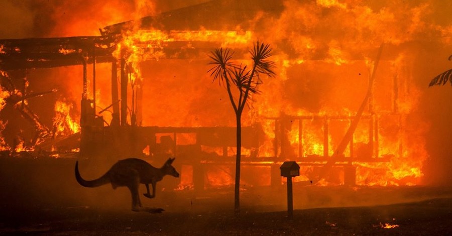 Порошенко призвал правительство оказать помощь Австралии в тушении лесных пожаров