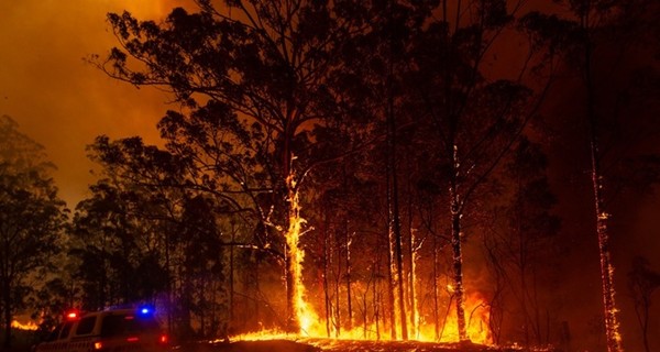 МИД: Украина готова оказать помощь Австралии в борьбе с лесными пожарами