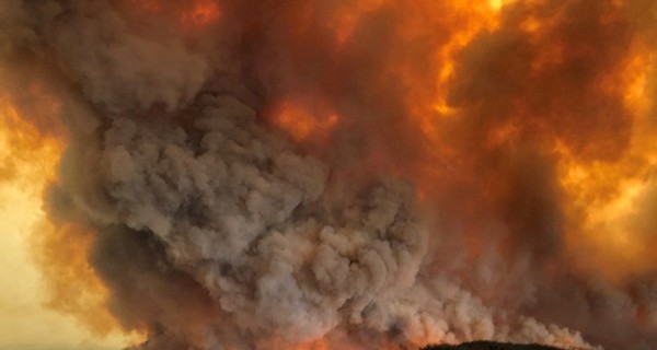 Аваков: Украина готова направить 200 спасателей для борьбы с пожарами в Австралии