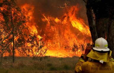 Пожары в Австралии: власти призвали население к массовой эвакуации 