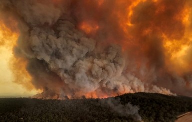 Австралия отказалась от помощи Украины в борьбе с лесными пожарами