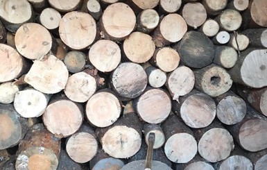 На Луганщине чиновник лесхоза попался на незаконной вырубке леса на 11 миллионов гривен