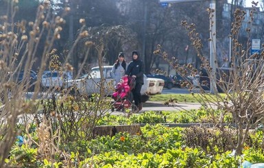 Весна в Украине наступит в феврале, а лето будет засушливым