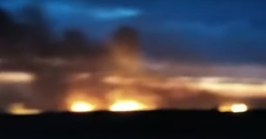 Пожар под Одессой: загорелся Нижнеднестровский национальный парк