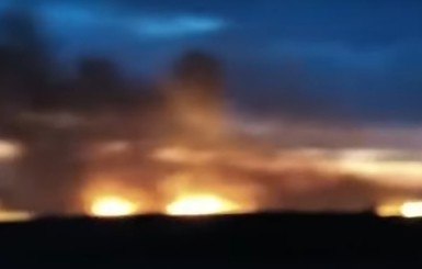 Пожар под Одессой: загорелся Нижнеднестровский национальный парк