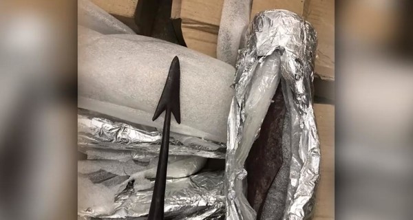 Житель Тернополя пытался вывезли за границу древнее оружие