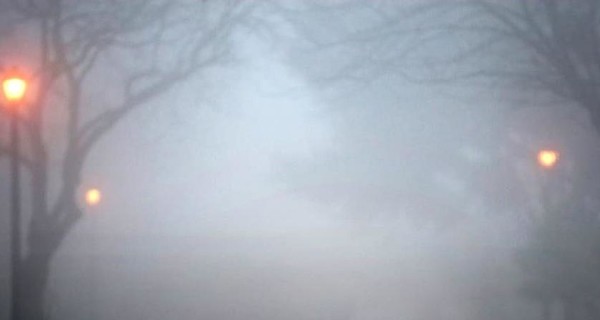 Украинцев 28 января ждут туман и гололедица
