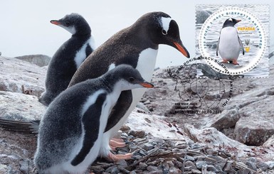 200-летие открытия Антарктиды в Украине отметили почтовой маркой с пингвином