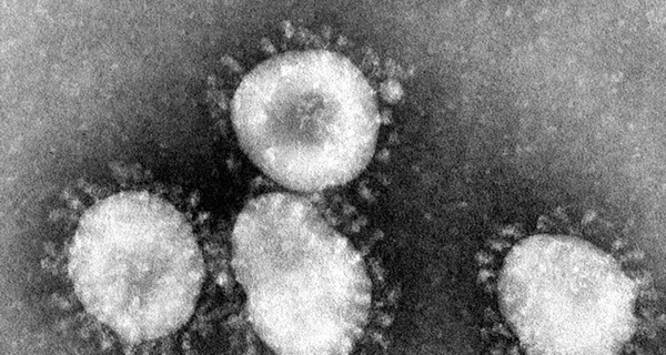 В России обнаружили двух зараженных коронавирусом
