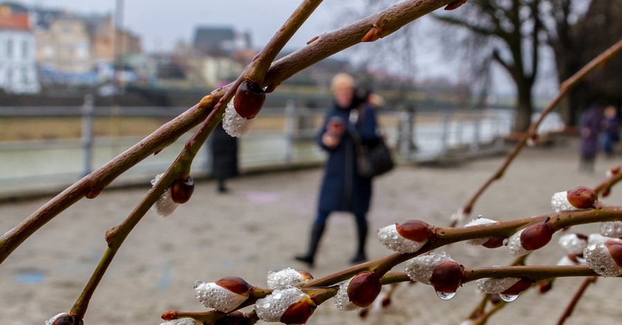 2 февраля удивило киевлян апрельским теплом