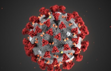 В Китае коронавирус 2019-nCoV убил 425 человек