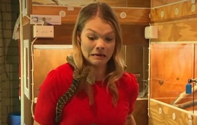 Змея атаковала микрофон журналистки во время съемок в Австралии