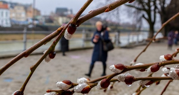 Весна в Украине будет 1-2 месяца, а лето - станет длиннее