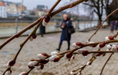Весна в Украине будет 1-2 месяца, а лето - станет длиннее