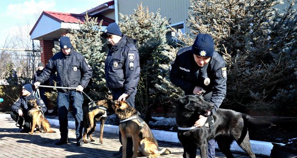Близ Одессы открыли лучший в Украине центр для собак-полицейских