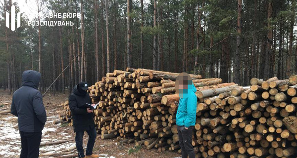 ГБР сообщило о подозрении четырем лесничим лесхоза в Житомирской области 