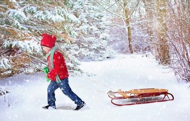 В Запорожье показали, как дети катаются на санках без снега