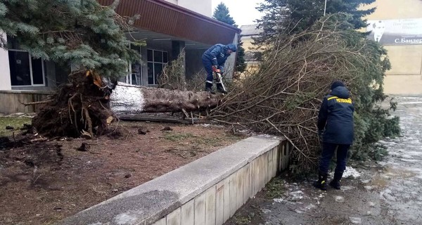 Февральский ураган на Прикарпатье содрал крыши со 101 здания, а в Черкассах - расплющило автобус