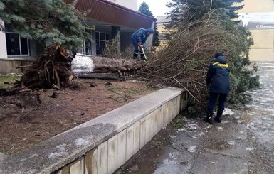 Февральский ураган на Прикарпатье содрал крыши со 101 здания, а в Черкассах - расплющило автобус