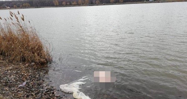 В пруду Кривого Рога обнаружили расчлененную женщину и открыли уголовное дело