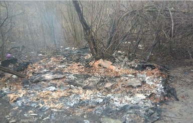 В Ровно неизвестные сожгли более 20 будок для бездомных собак
