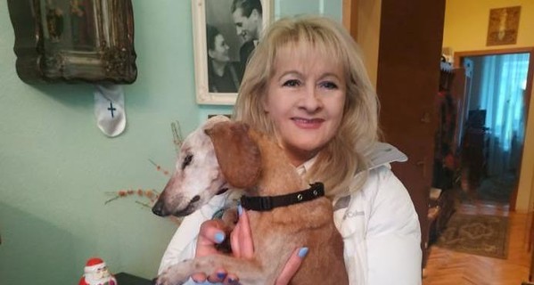 Скончалась старейшая собака Украины