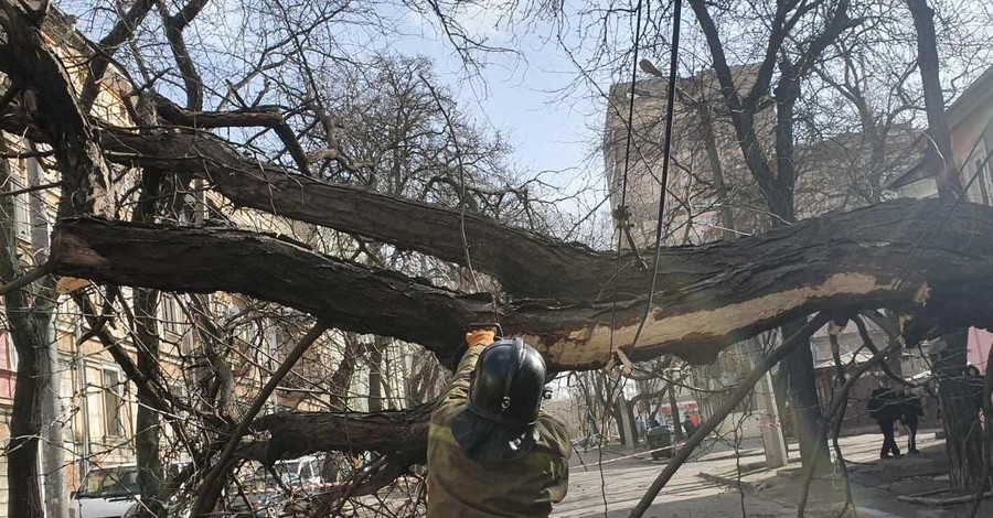 Мощный ветер привел к смерти украинки и травмированию еще 4 людей