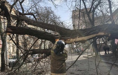 Мощный ветер привел к смерти украинки и травмированию еще 4 людей