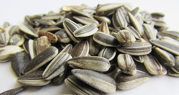  В Тернопольской области парень ограбил магазин ради пива и семечек 