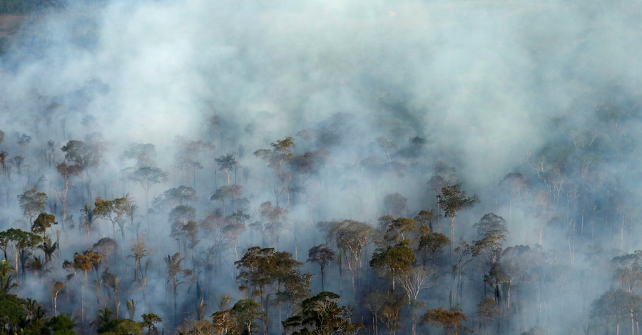 Ученые: леса Амазонии и кораллы могут исчезнуть через несколько десятилетий