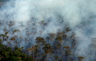Ученые: леса Амазонии и кораллы могут исчезнуть через несколько десятилетий