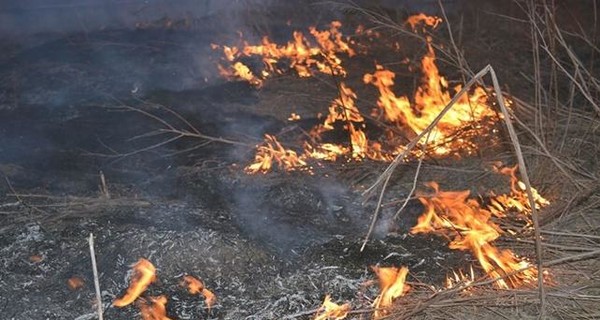 С начала 2020 года огонь забрал жизни 458 украинцев