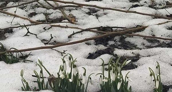 Украинцев ждут резкое похолодание и мокрый снег