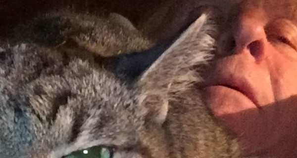 Энтони Хопкинс показал, как проводит время на самоизоляции