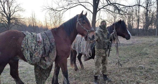 На Буковине конные всадники пытались вывезти сигареты в Румынию
