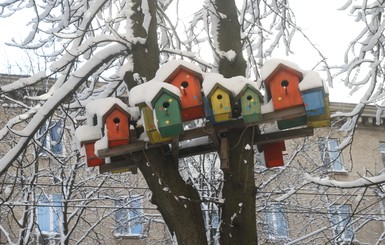 Синоптики рассказали, когда в Украину вернутся зима, морозы и снег