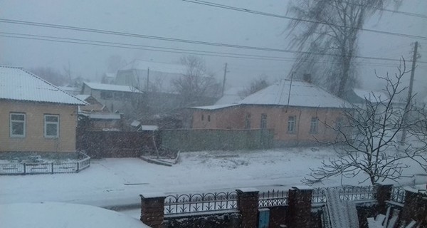 Часть Украины засыпало мартовским снегом