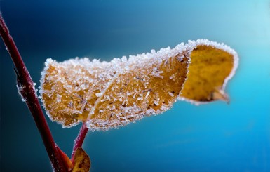 В Украине пообещали морозы до 14 градусов