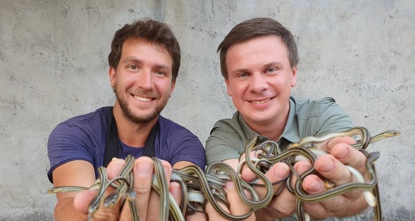 Дмитрий Комаров показал, как работает из дома во время карантина