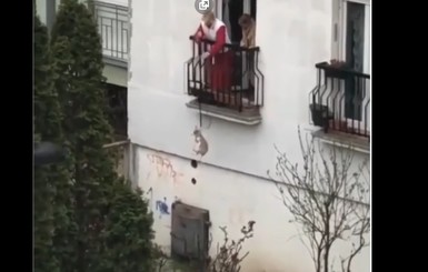 Выкрутилась: В Сербии бабушка выгуливает пса, не выходя из квартиры