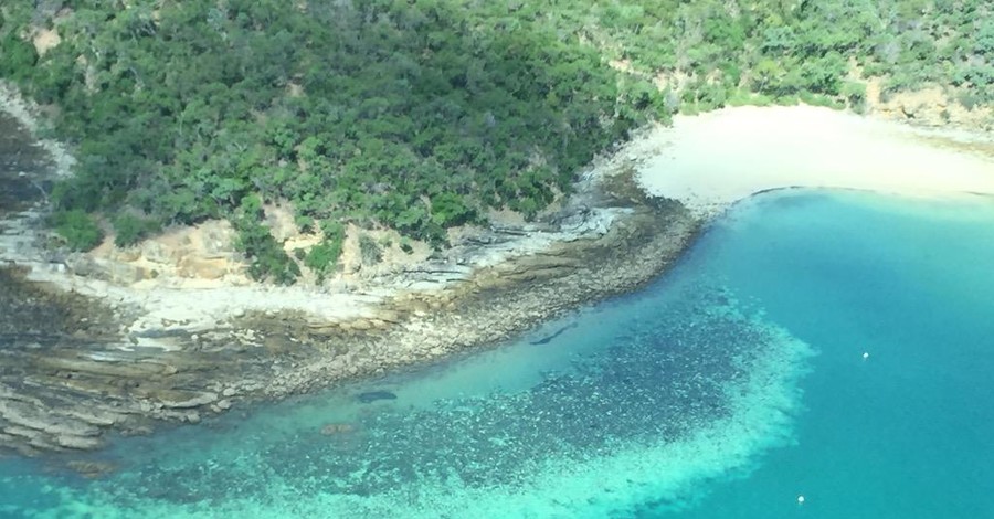 Кораллы в Большом Барьерном рифе поблекли и могут погибнуть