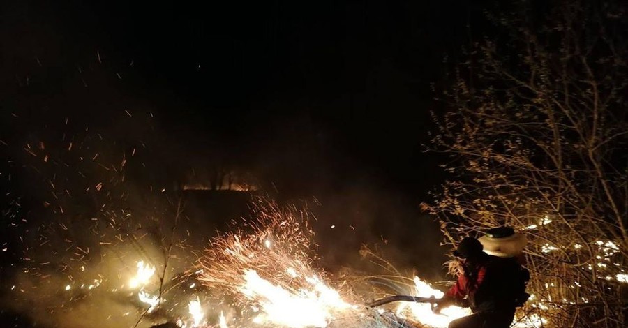 Поджигатели травы случайно сожгли три дома в Бориспольском районе