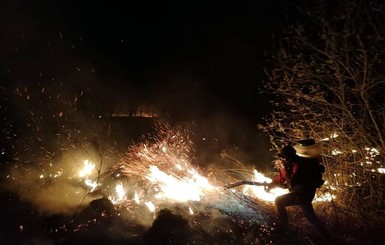 Поджигатели травы случайно сожгли три дома в Бориспольском районе