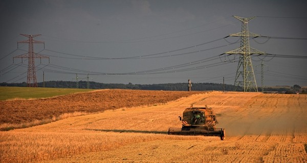 Закон о рынке земли: чего ожидать фермерам, инвесторам и агрохолдингам