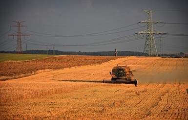 Закон о рынке земли: чего ожидать фермерам, инвесторам и агрохолдингам