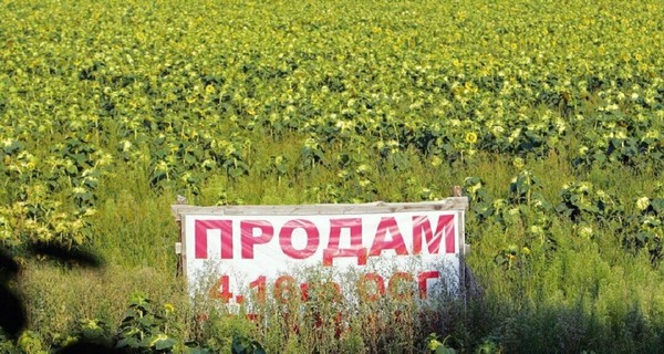 Как открытие рынка земли повлияет на украинскую экономику